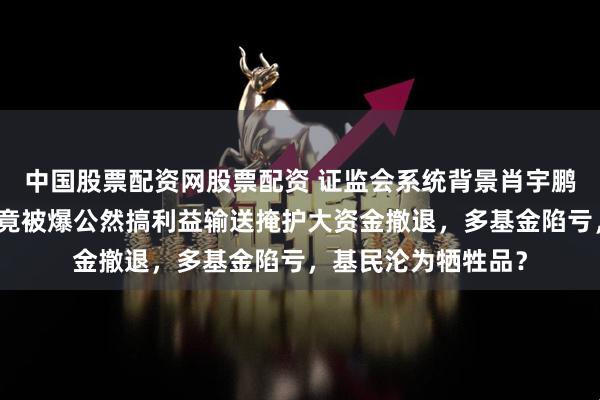 中国股票配资网股票配资 证监会系统背景肖宇鹏掌舵下，平安基金竟被爆公然搞利益输送掩护大资金撤退，多基金陷亏，基民沦为牺牲品？